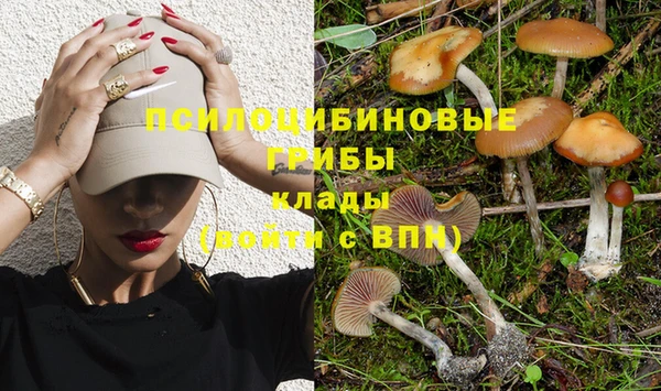 кокаин перу Ладушкин