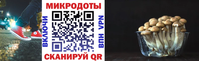 Купить где  Санкт-Петербург  Псилоцибиновые грибы ЛСД 